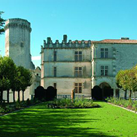Château de Bourdeilles photo 1